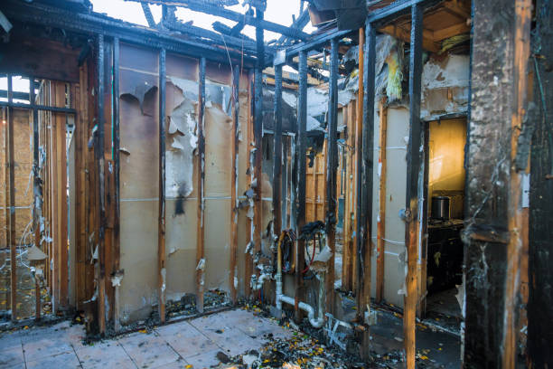 Professional Fire Damage Assessment technician working in Savage, MN